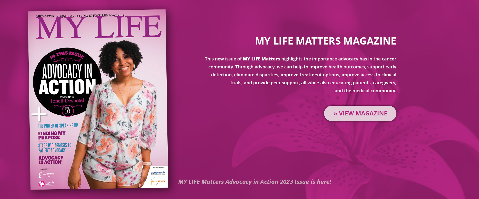 Tigerlily Foundation Tigerlily Foundation