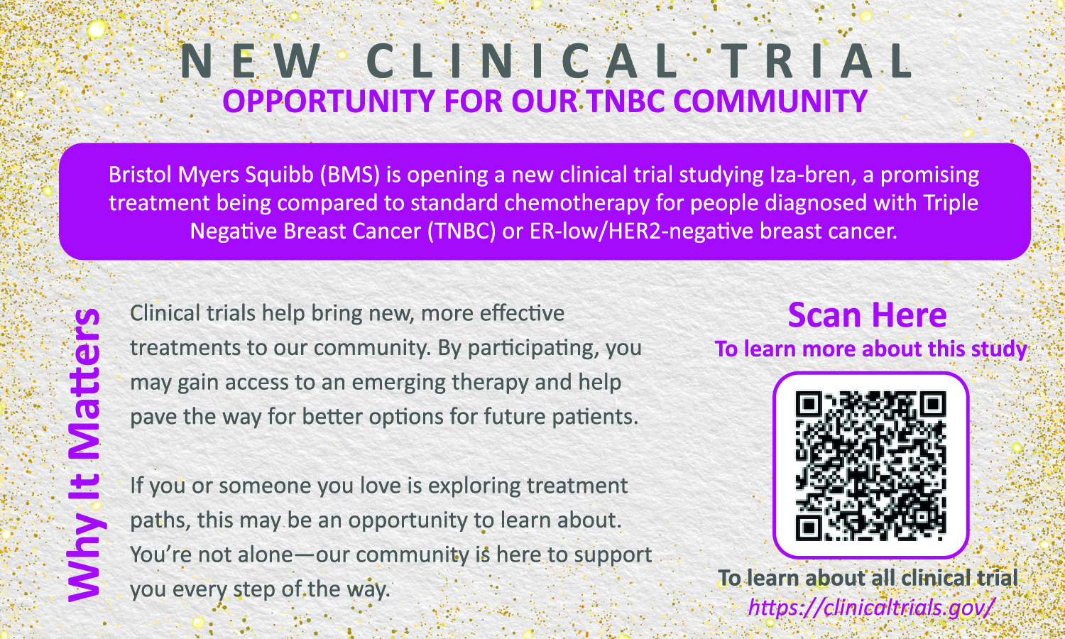 2679767_Blisscollectivecards_4x4_individual_16_120425