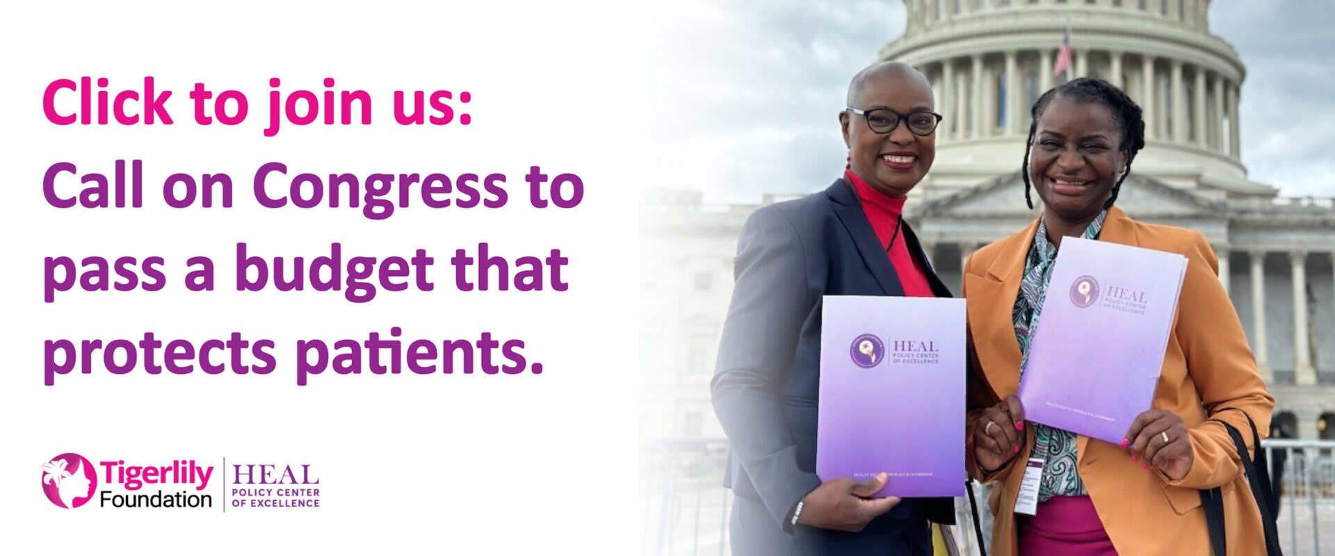 2682236_HEALBudgetcutsgraphics_NewSizes_2500x977_01_120825