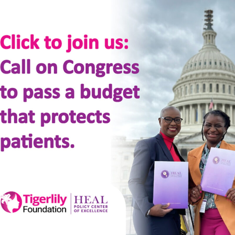 2682236_HEALBudgetcutsgraphics_NewSizes_700x600_01_120825