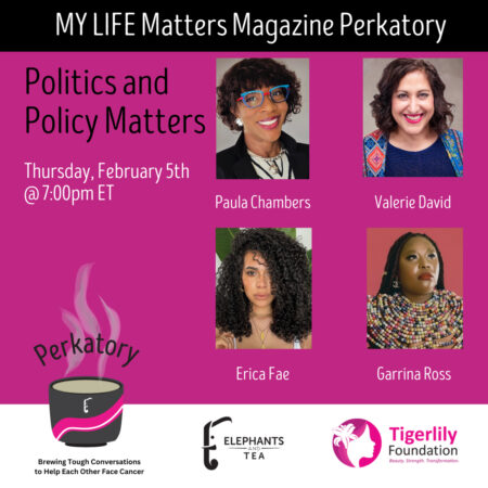 Perkatory – Politics and Policy Matters