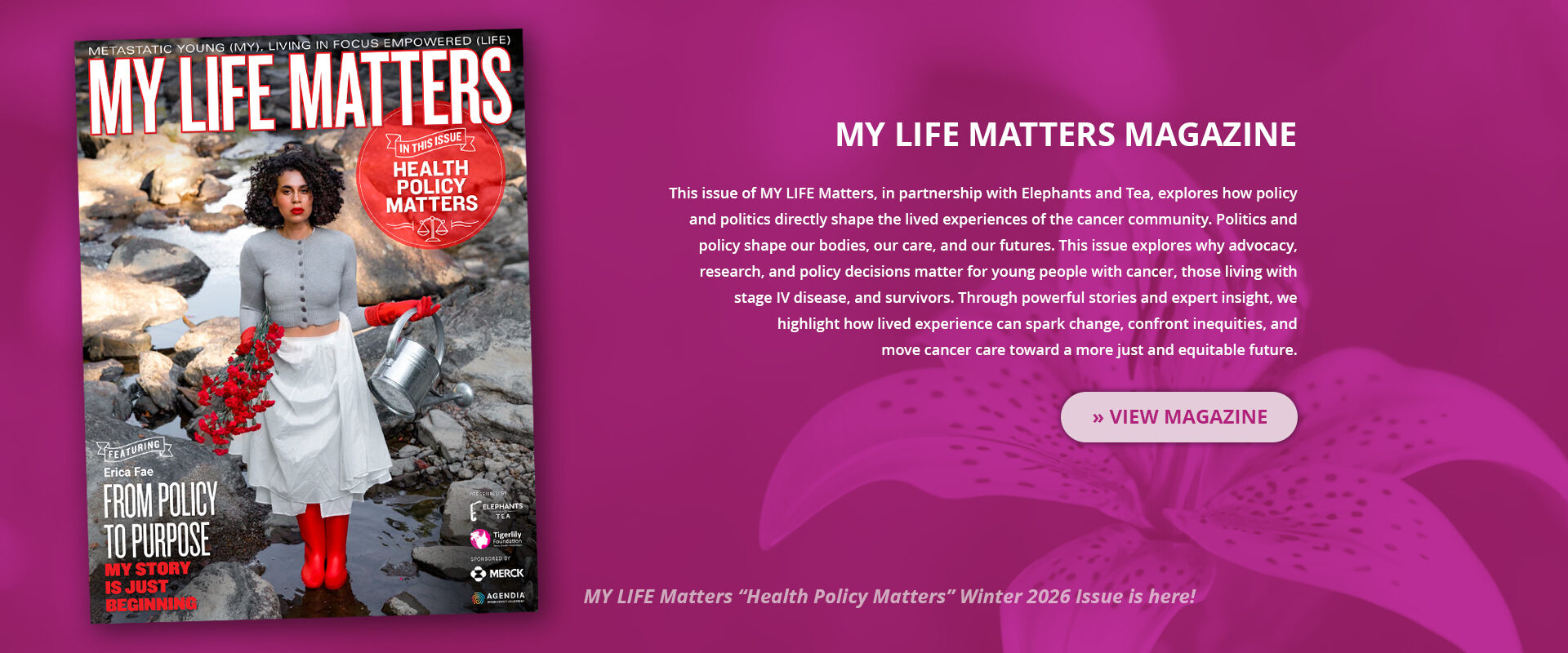 TLF-Hero-Magazine-02052026-v1